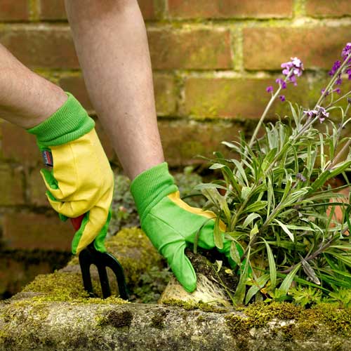 The Gardener Gardening Gloves | Gardening Gloves | JustGloves The Gardener Gardening Gloves | Gardening Gloves | JustGloves