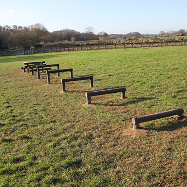 Log Hurdles Log Hurdles