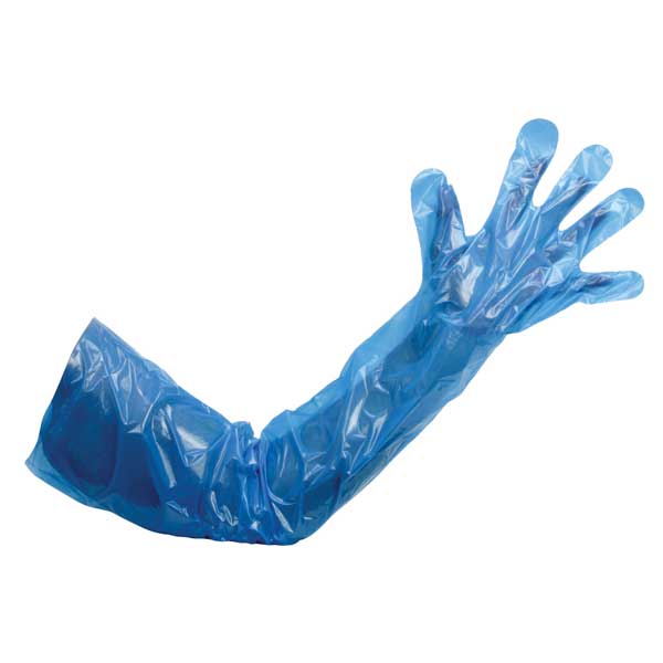 Blue Polythene Gauntlets | Polythene Gloves | FirstAid4Less Blue Polythene Gauntlets | Polythene Gloves | FirstAid4Less