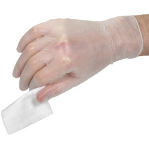Standard Powder Free Vinyl Gloves
